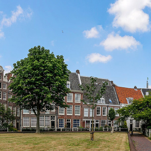 AMS1